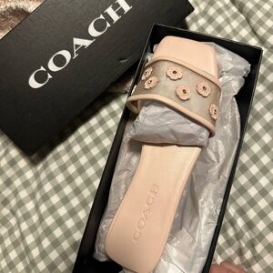 Coach mesh flat sandal in Tea Rose